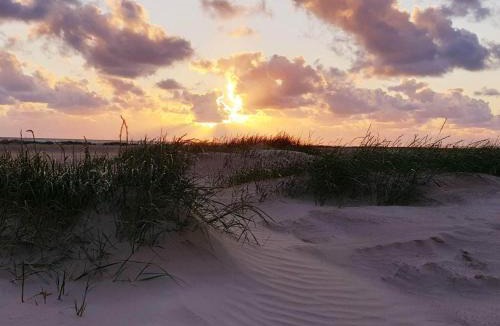 Rindby Strand House | 4 person holiday home in Fanø