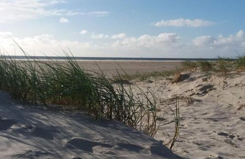 Rindby Strand House | 4 person holiday home in Fanø