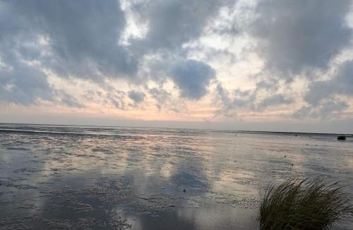 Sønderho House | 4 person holiday home in Fanø