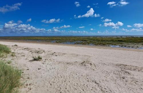 Sønderho House | 4 person holiday home in Fanø