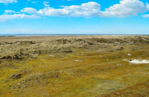 Rindby Strand House | 4 person holiday home in Fanø