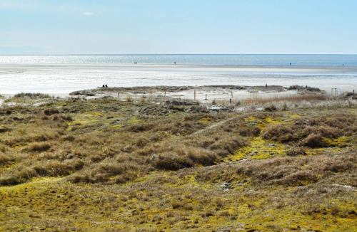 Rindby Strand House | 4 person holiday home in Fanø