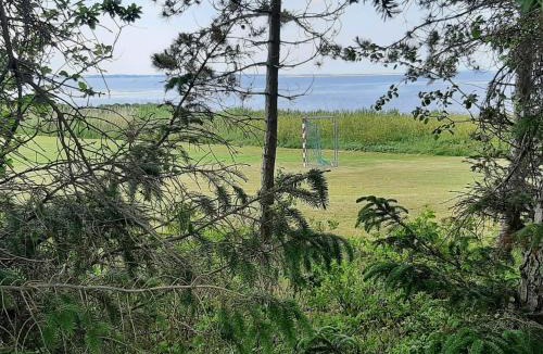 Hvalpsund House | 4 person holiday home in Farsø-By Traum