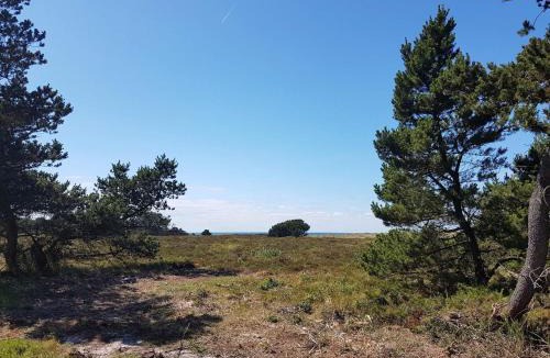 Læsø House | 4 person holiday home in Læsø