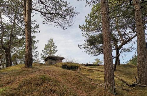Ho House | 4 person holiday home in Oksbøl-By Traum