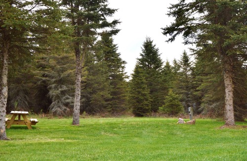 Luther RV Rental | 4 Private RV Campsites surrounded by "Knotty Pines", Minutes from ORV Trails.
