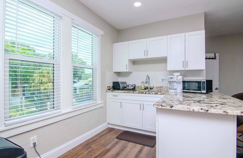Tampa Heights Bed & Breakfast | 4 Seasons of Spring in Tampa Heights - Unit 4
