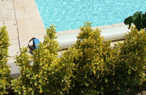 Carcassonne Villa | 4-sided house with pool and terrace south - Come get rest