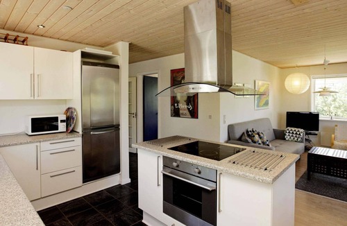 Slette Strand House | 4 star holiday home in Fjerritslev
