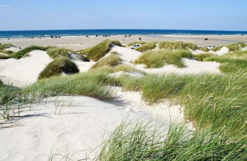 Vester Hjermitslev House | 4 star holiday home in Brønderslev