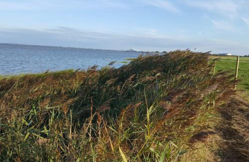 Sønderstrand House | 4 star holiday home in Rømø