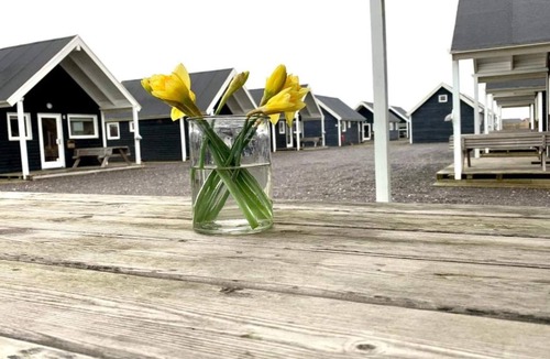 Thyboron House | 4 star holiday home in Thyborøn
