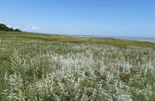 Ørsted House | 4 star holiday home in Ørsted