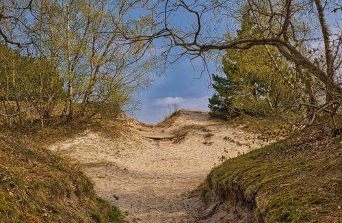 Hvidbjerg Strand House | 4 star holiday home in Børkop