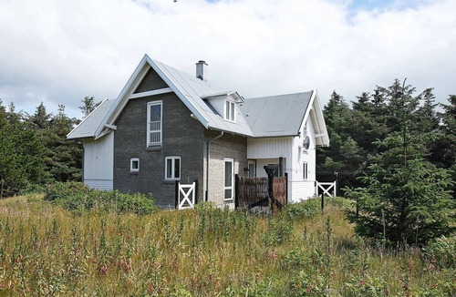 Vrist Strand House | 4 star holiday home in Harboøre