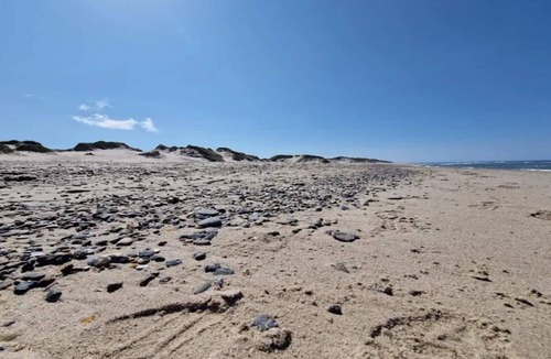 Vedersø Klit House | 4 star holiday home in Ulfborg