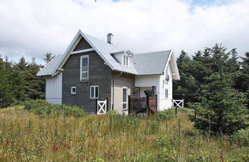Vrist Strand House | 4 star holiday home in Harboøre