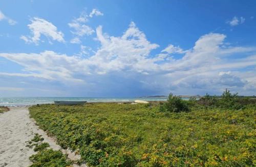Knebel House | 4 star holiday home in Knebel