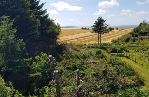 Ranum House | 4 star holiday home in Ranum