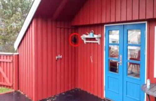 Vorupør House | 4 star holiday home in Thisted