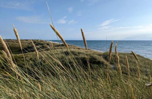 Sønder Nissum House | 4 star holiday home in Ulfborg