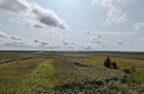 Sønder Nissum House | 4 star holiday home in Ulfborg
