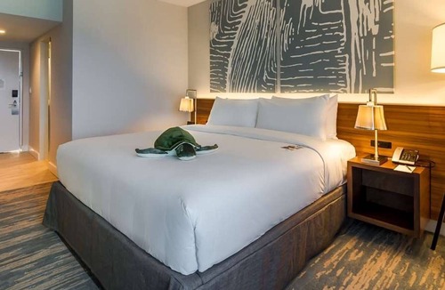 Central Beach Hotel | 4 Stylish Beachfront Units Near Las Olas and Museums