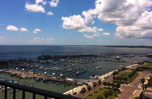 Central City Hotel | 4 Units | Harbor Area Stay w/Pool Access | Near Museum of Science & History