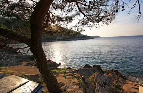 Blato Apartment | 40 m² Apartment ∙ 1 bedroom ∙ 4 guests