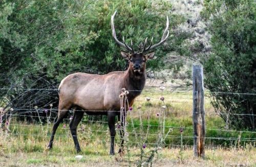 Moose Wilson Road Apartment | 4412 Mackinaw