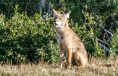 Moose Wilson Road Apartment | 4412 Mackinaw