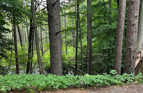 Suring Cabin | 45 minutes from Green Bay - sleeps 10. Kelly Lake