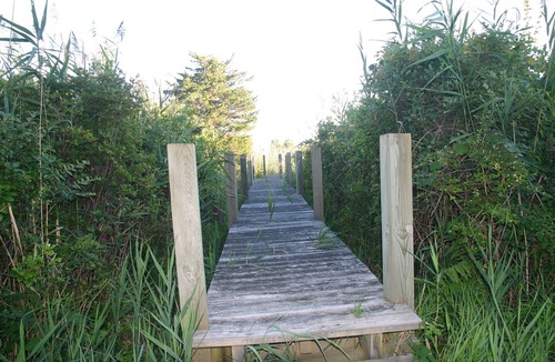 Westerly House | 45C Haversham - Unique Oak Post And Beam Home In A Secluded Setting