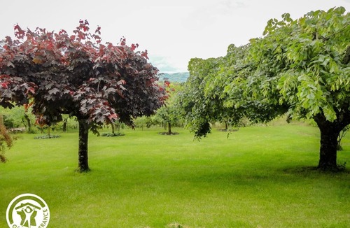 Capdenac House | 46G1311 - CAPDENAC - Gîte