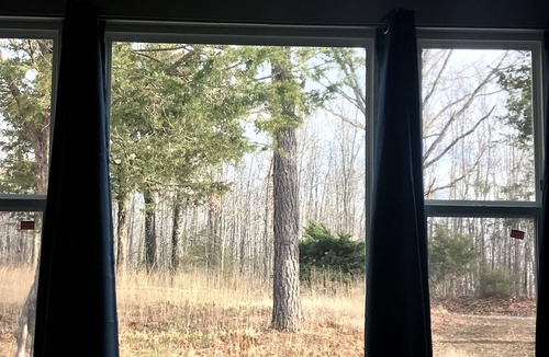 Marshall House | 4BR, 4 Private Acres, Fire Pit, Near Buffalo River and Canoe Rentals
