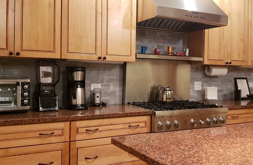 River North Apartment | 4BR Old Town Chicago Loft | Walk to Wells St