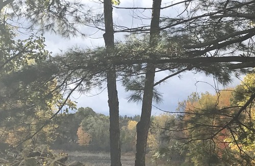 Battle Creek House | 5 acre property with sunsets on marsh. Pet friendly.Fort Custer