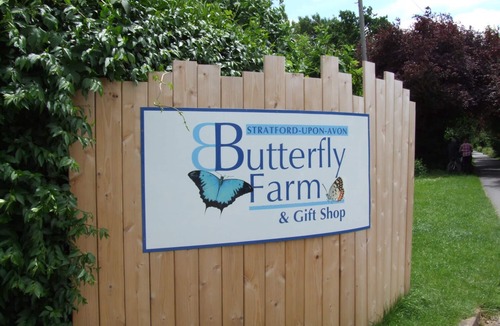 City Centre Cottage | 5 Albany Road