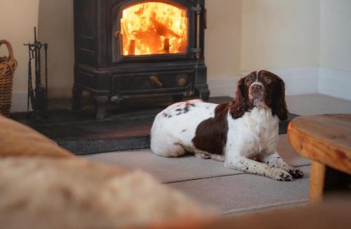 Stapleton House | 5 Bed in Aberystwyth oc-58889