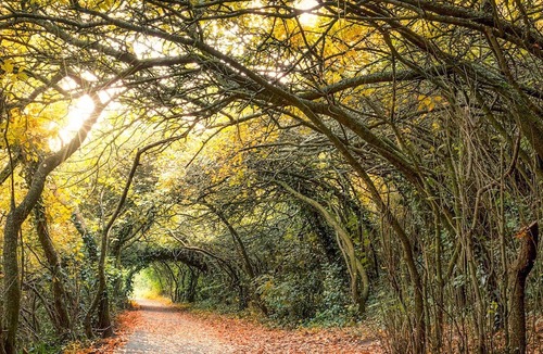 Clevedon Cottage | 5 bedroom accommodation in Clevedon