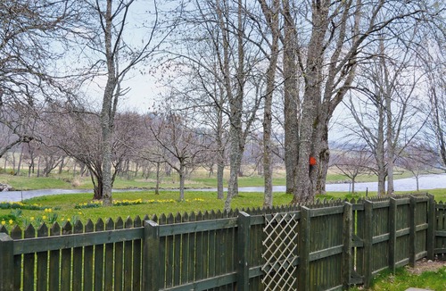 Aberlour Cottage | 5 bedroom accommodation in Aberlour