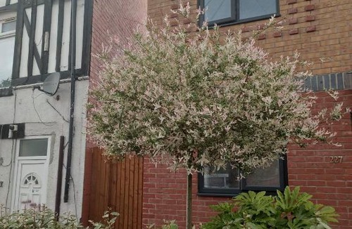 Yardley House | 5 Bedroom Spacious Home