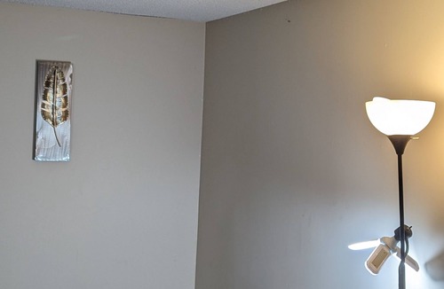 Savoy Apartment | 5 minutes away from Campus and Statefarm Stadium, 2min away from Willard Airport