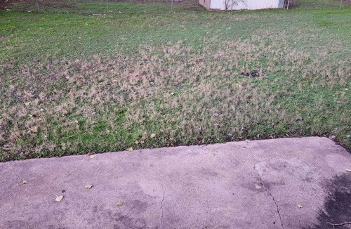 Mineral Wells House | 5 Minutes from Downtown! Cheerful Four Bedroom Home