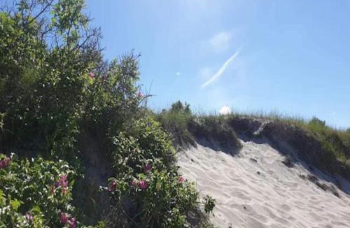 Dronningmolle House | 5 person holiday home in Dronningmølle-By Traum