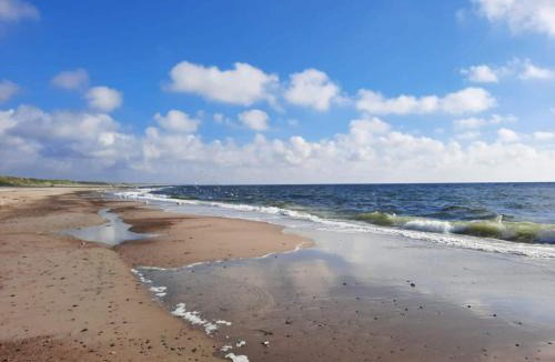 Henne Strand House | 5 person holiday home in Henne