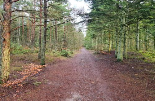 Aalbaek House | 5 person holiday home in Ålbæk