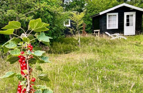 Amtoft House | 5 person holiday home in Vesløs-By Traum