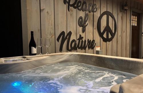 Ellijay House | 5-Star Cabin wHot Tub, Game Room, & Resort Perks!