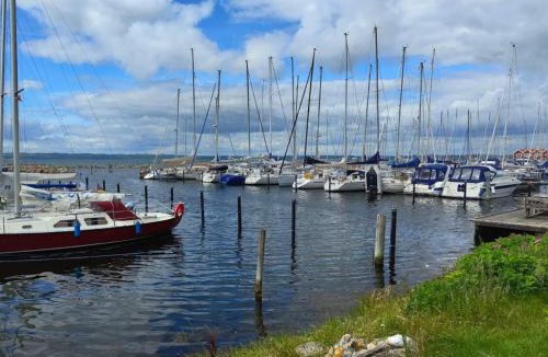 Vibæk Strand House | 5 star holiday home in Ebeltoft-By Traum